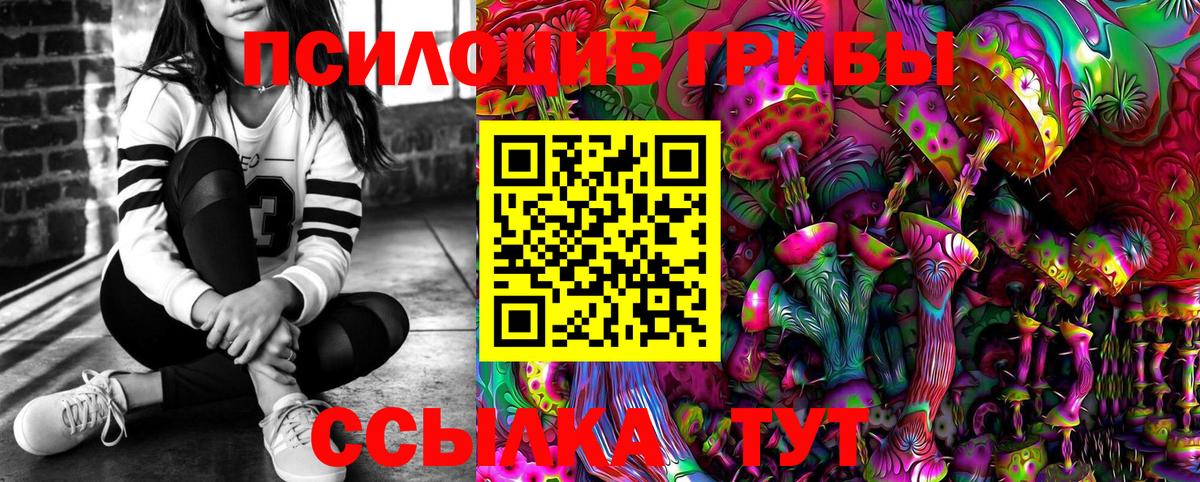 Псилоцибиновые грибы прущие грибы Чехов