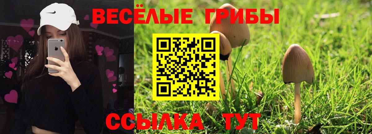 Псилоцибиновые грибы Psilocybe  Вход с VPN  дарнет шоп  Чехов  Галлюциногенные грибы Cubensis 