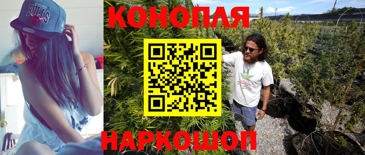 Бошки Шишки индика  Вход с VPN  Каннабис сатива  Чехов  Бошки Шишки гибрид 